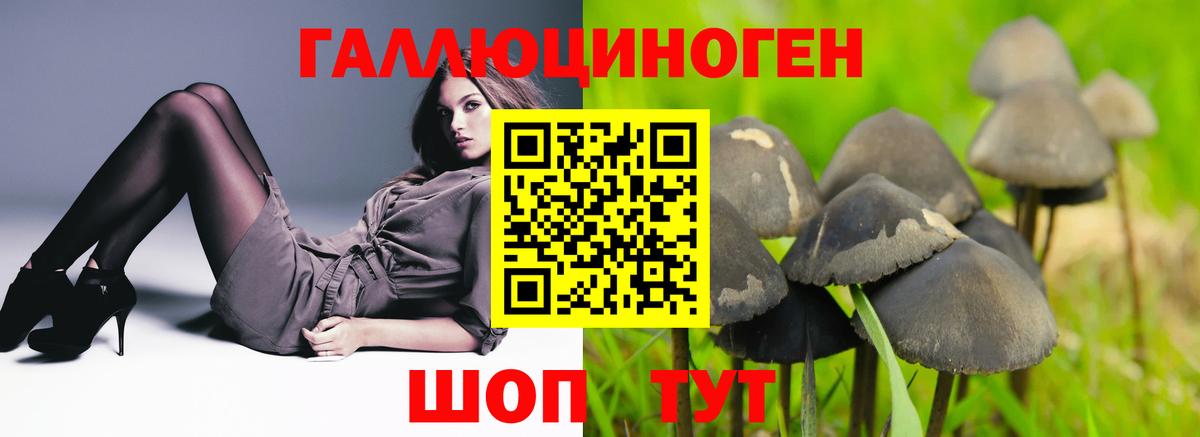 Псилоцибиновые грибы Cubensis Михайловск